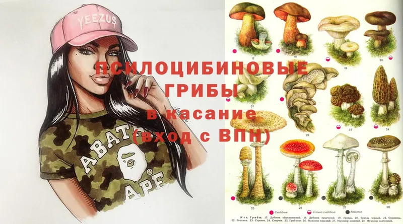 Галлюциногенные грибы MAGIC MUSHROOMS  гидра как войти  Суоярви  купить наркотик 